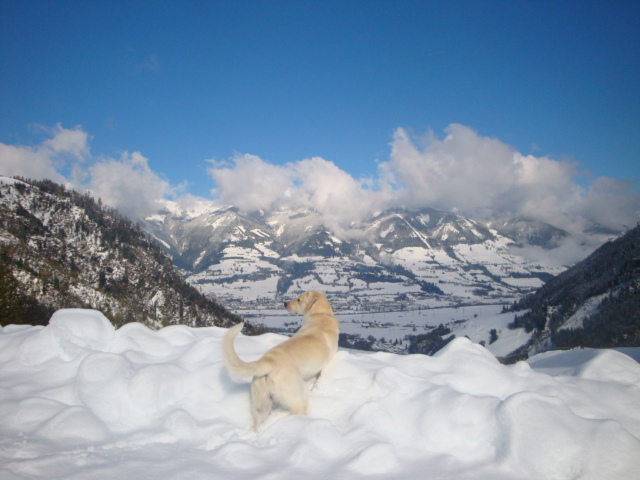 Wintereinbruch. Fotos vom 26. Oktober_2010 (23) - Kopie